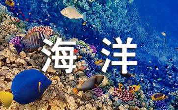 《海洋》觀后感15篇