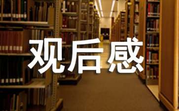 2022年關(guān)于北京冬奧會優(yōu)秀觀后感（精選16篇）