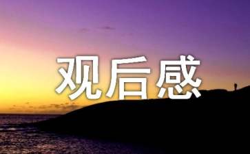 2022冬殘奧會(huì)觀后感200字